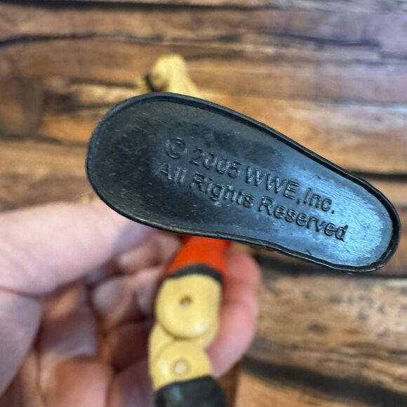 WWE Rob Van Dam RVD Deluxe Aggression Series 5 Action Figure 2006 Jakks Pacific - Picture 8 of 9